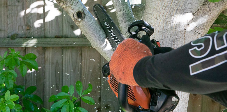 Chopping overhanging tree branch