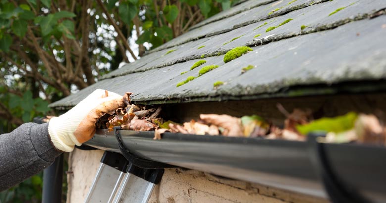 clearing leaves from guttering