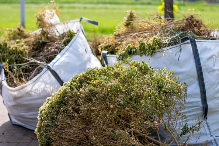 garden clearance bags