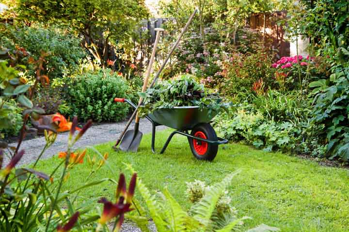 gardener tools on a neat garden