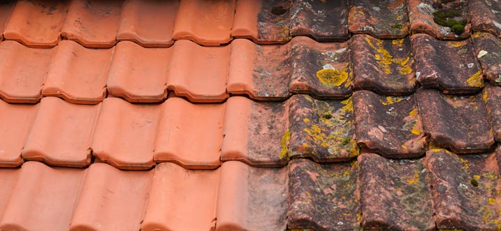 roof cleaning